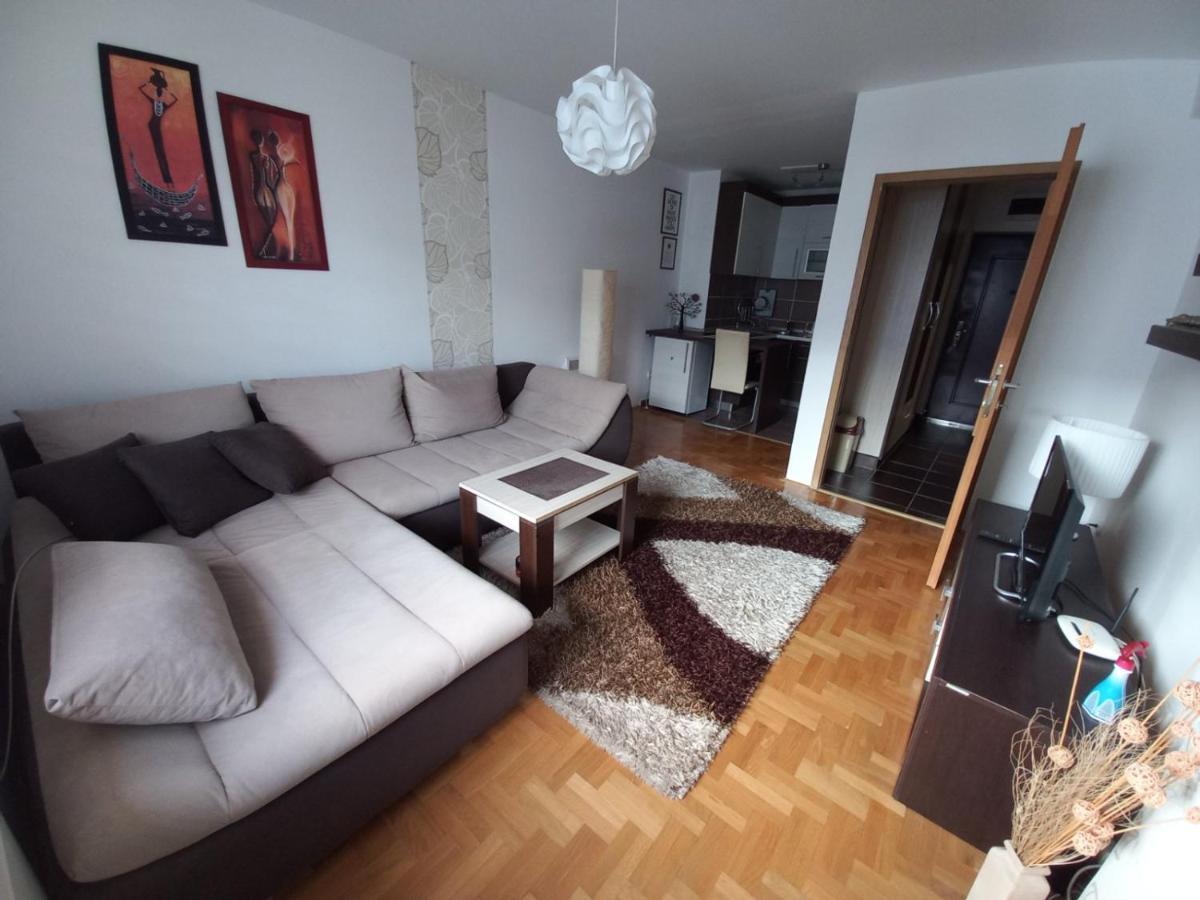 Apartman Pivasevic サラエヴォ エクステリア 写真
